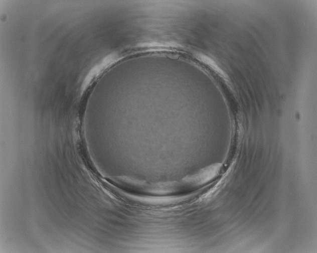 X0000062141357200512091204