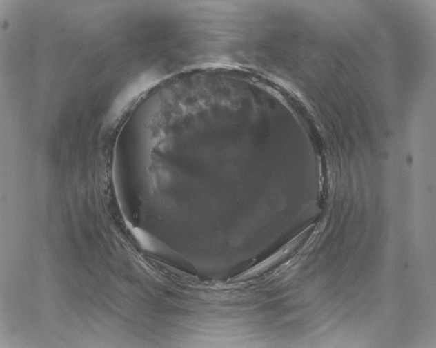 X0000062141359200512091204