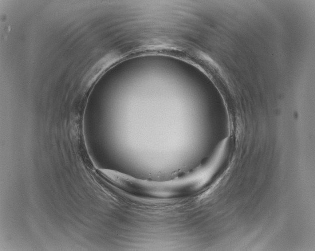 X0000062141361200512091204