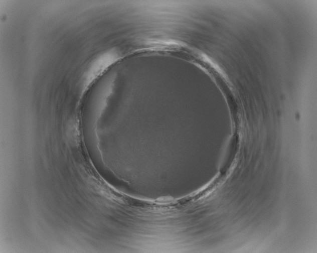 X0000062141362200512091204