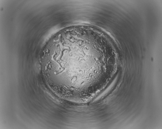 X0000062141363200512091204