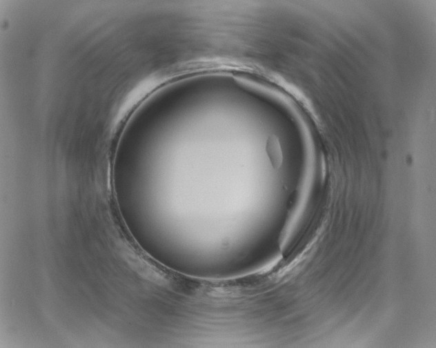 X0000062141365200512091204