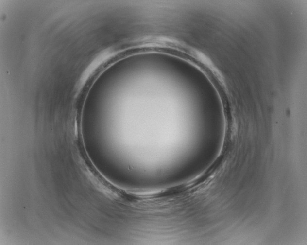 X0000062141368200512091204