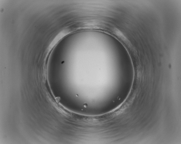 X0000062141370200512091204