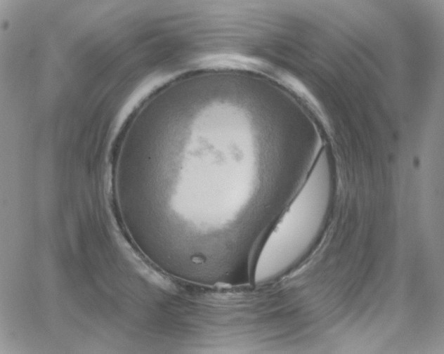 X0000062141376200512091204