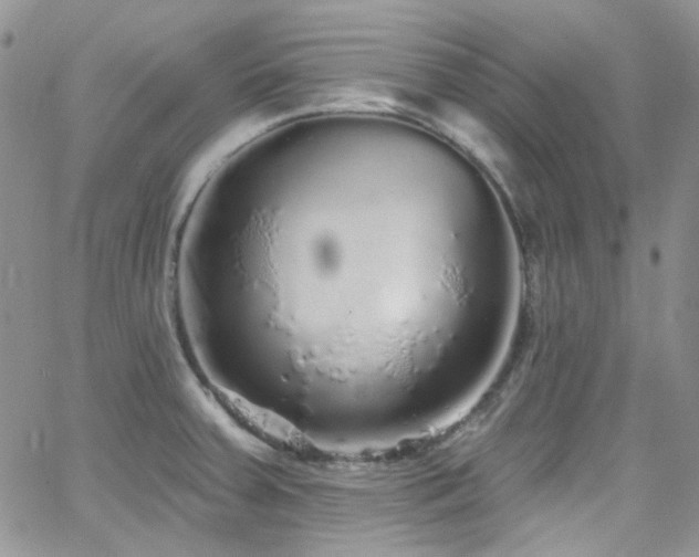 X0000062141379200512091204