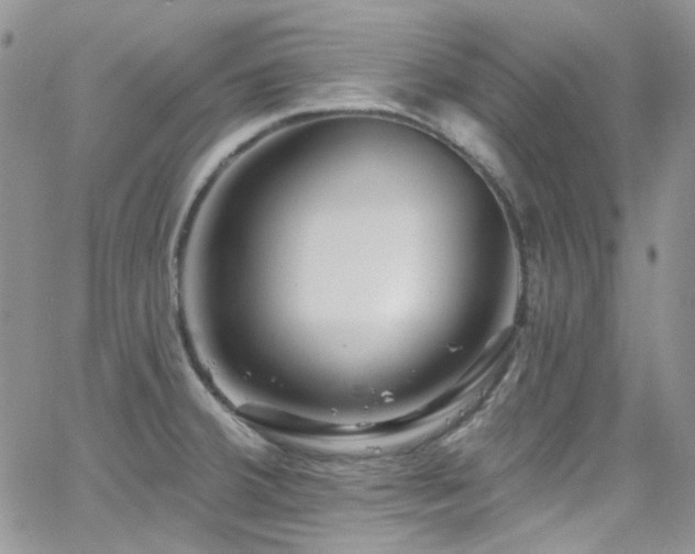 X0000062141380200512091204