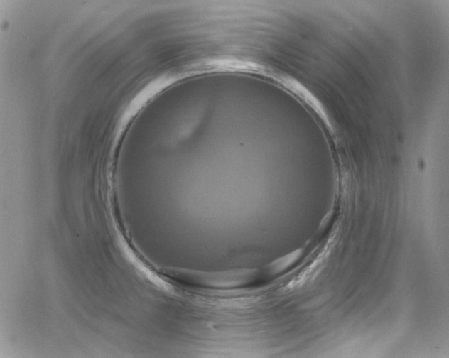 X0000062141381200512091204