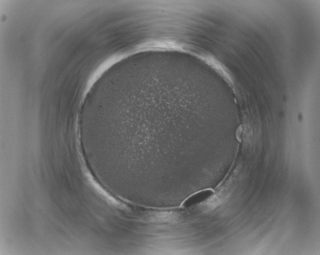 X0000062141382200512091204