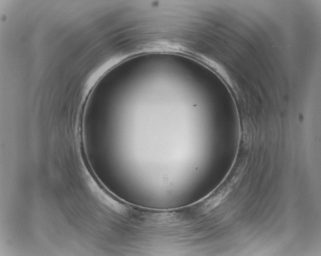 X0000062141387200512091204