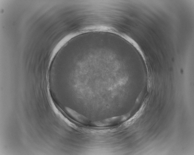 X0000062141389200512091204