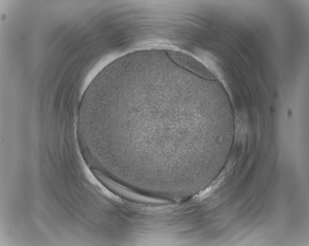 X0000062141390200512091204