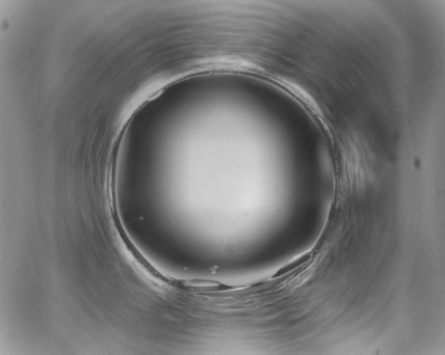 X0000062141391200512091204