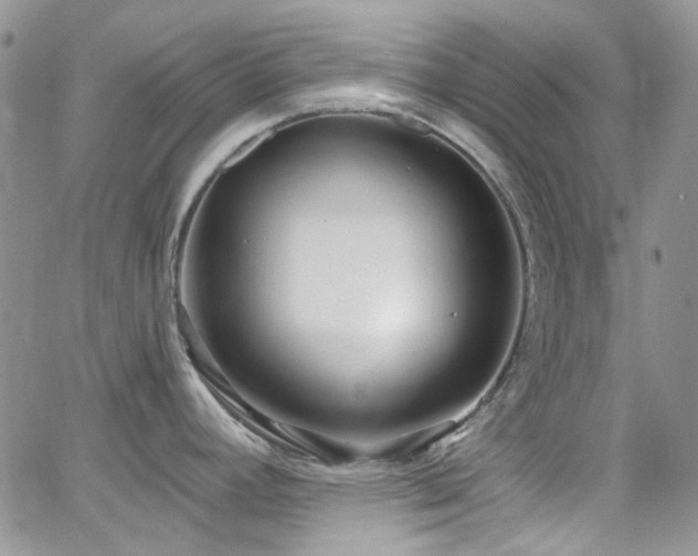 X0000062141392200512091204