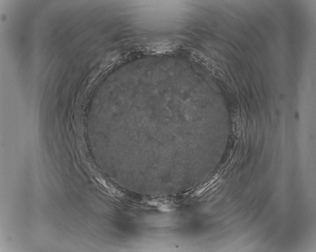 X0000062141393200512091203