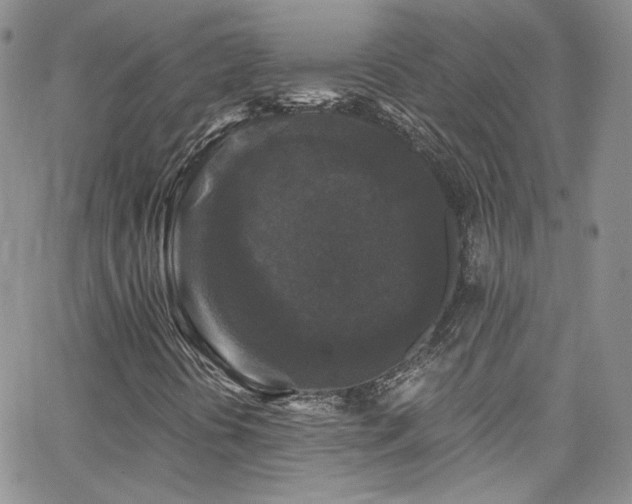 X0000062141394200512091203