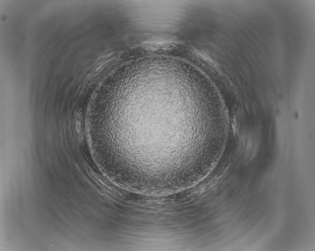 X0000062141396200512091203