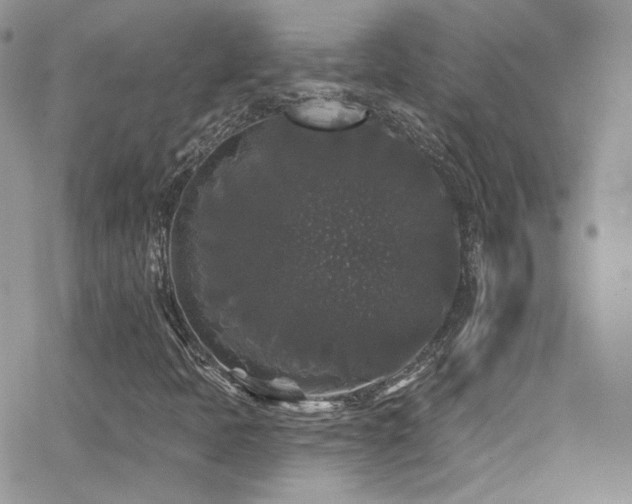 X0000062141397200512091203