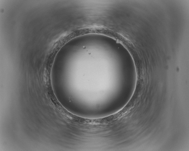 X0000062141398200512091203