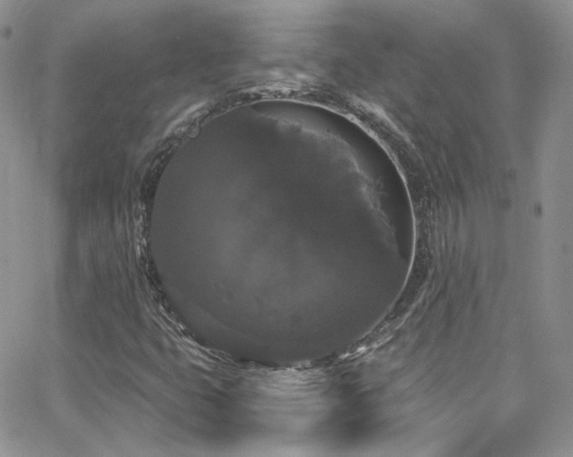 X0000062141399200512091203