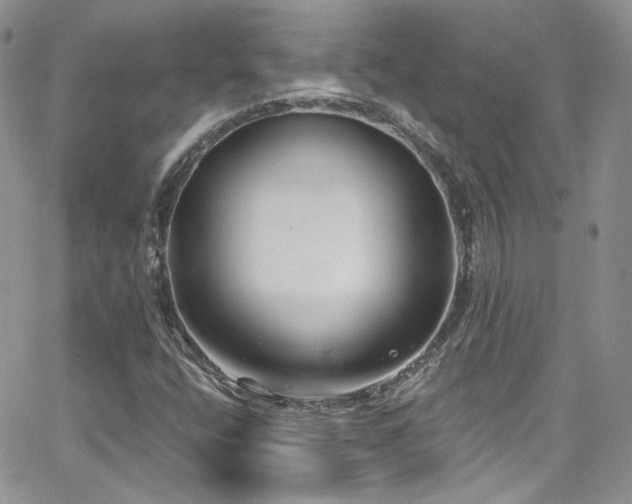 X0000062141400200512091203