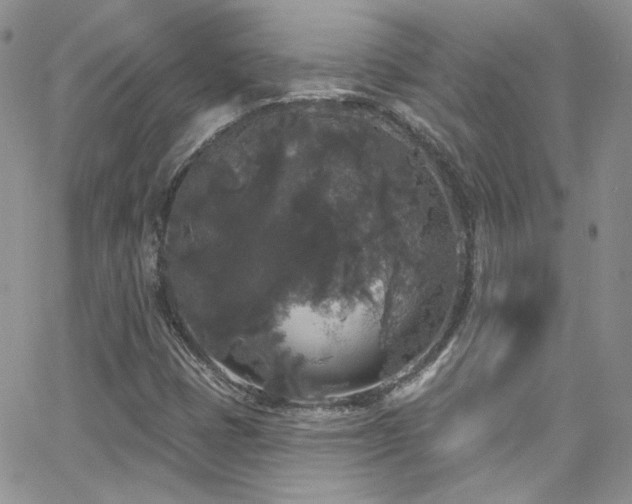 X0000062141401200512091203