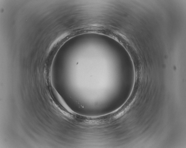 X0000062141402200512091203