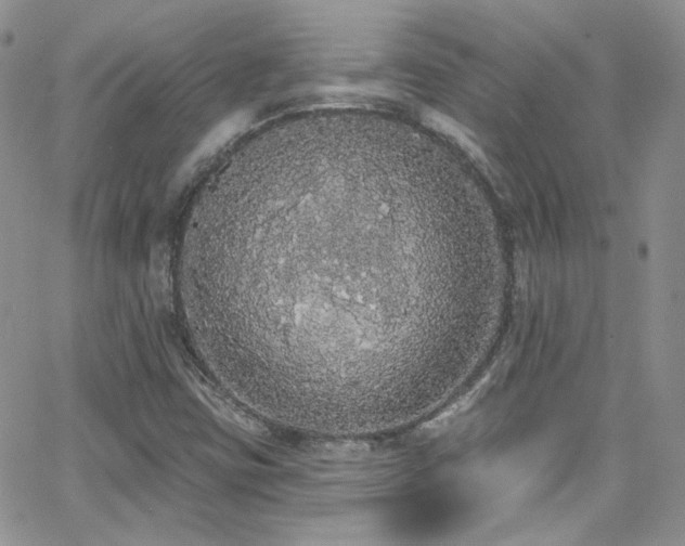 X0000062141403200512091203