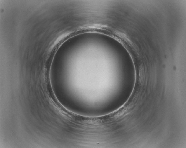 X0000062141404200512091203