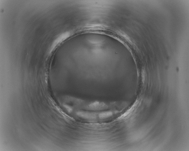 X0000062141405200512091203