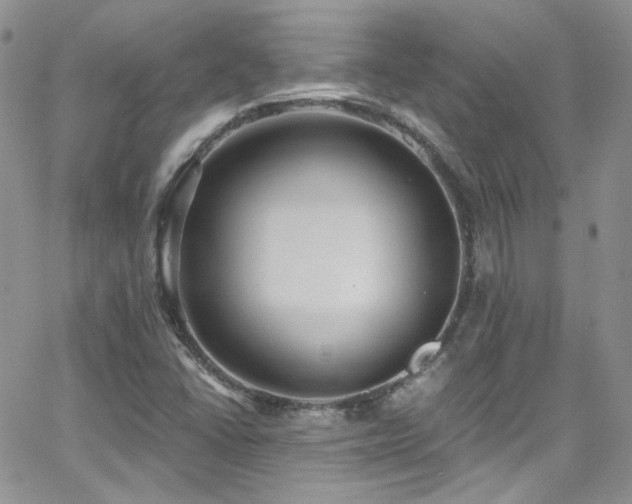 X0000062141406200512091203