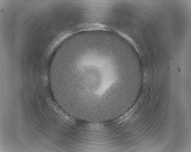 X0000062141407200512091203