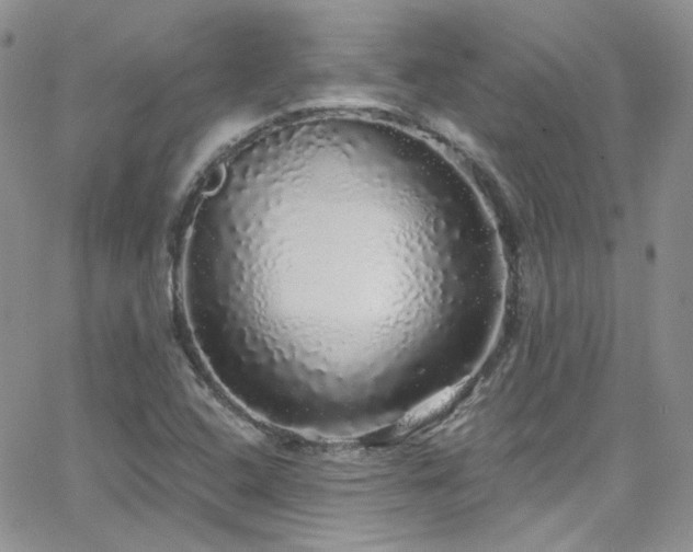 X0000062141408200512091203