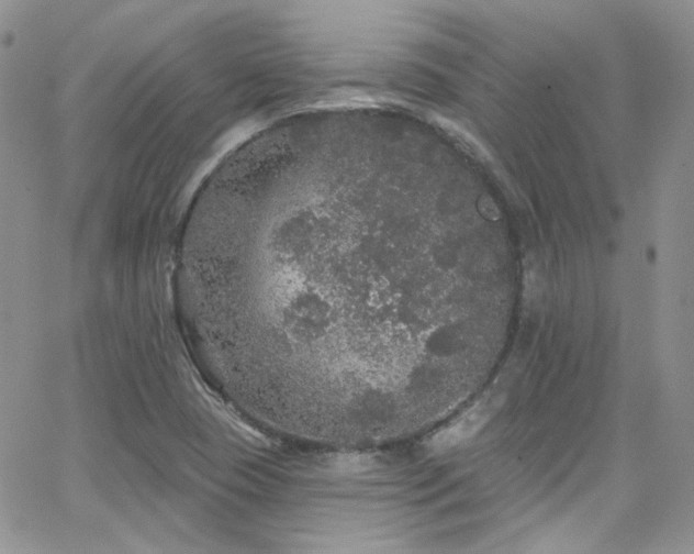 X0000062141409200512091203