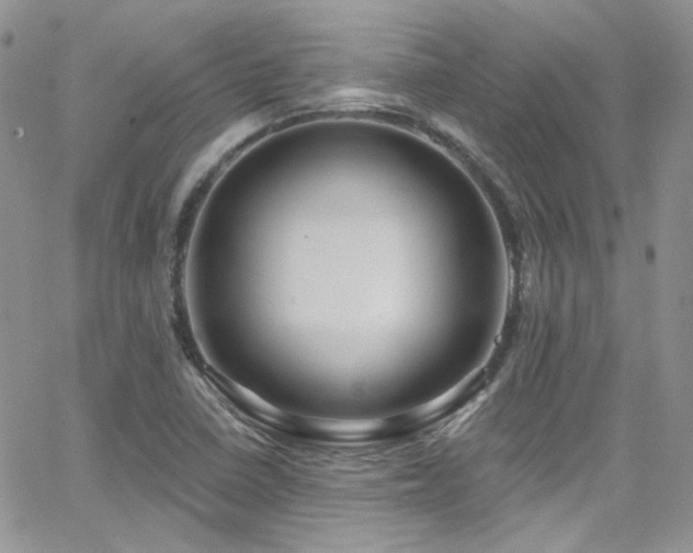 X0000062141410200512091203