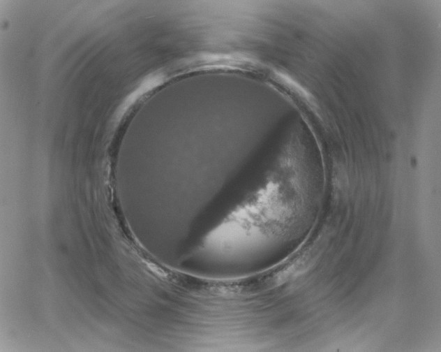 X0000062141411200512091203