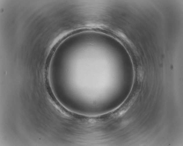 X0000062141412200512091203