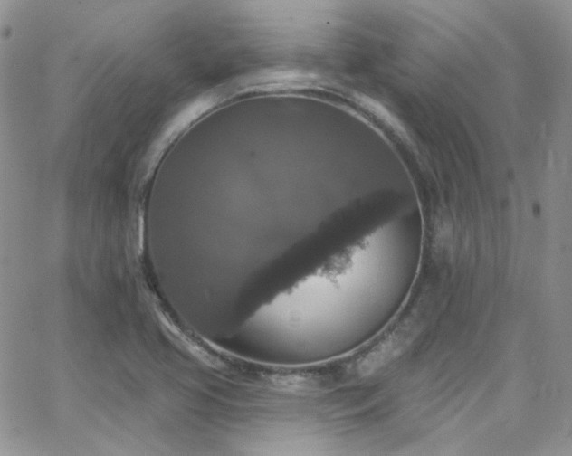 X0000062141413200512091203