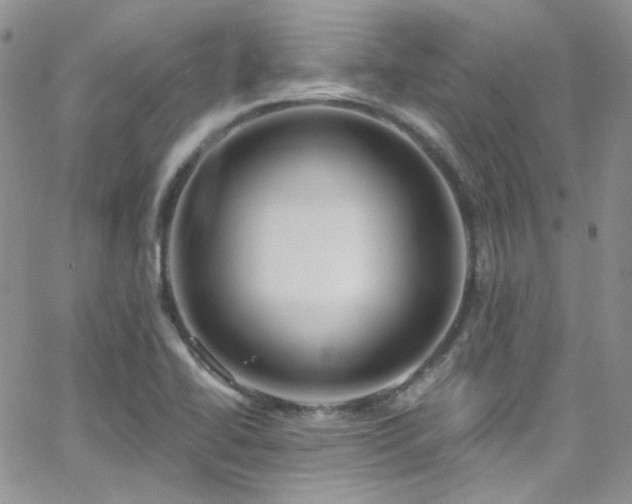 X0000062141414200512091203