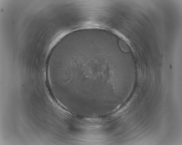 X0000062141415200512091203