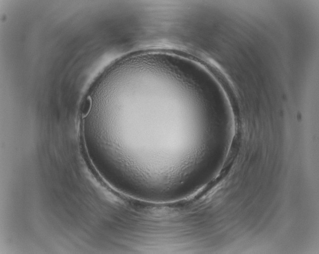 X0000062141416200512091203