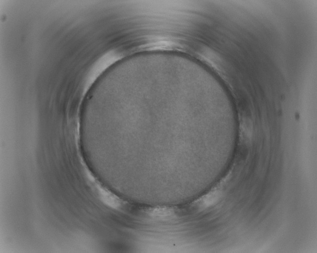 X0000062141418200512091203