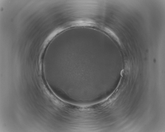 X0000062141419200512091203