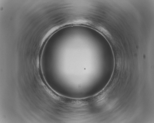 X0000062141420200512091203