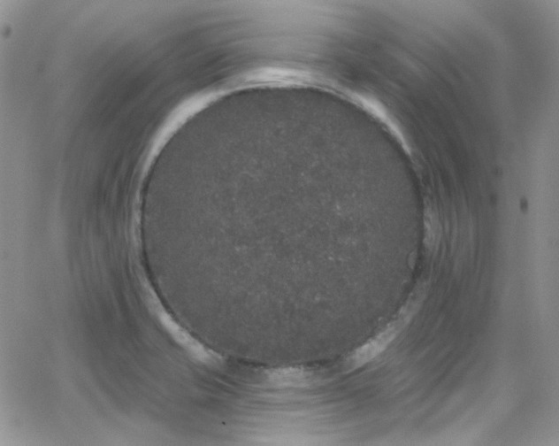 X0000062141421200512091203