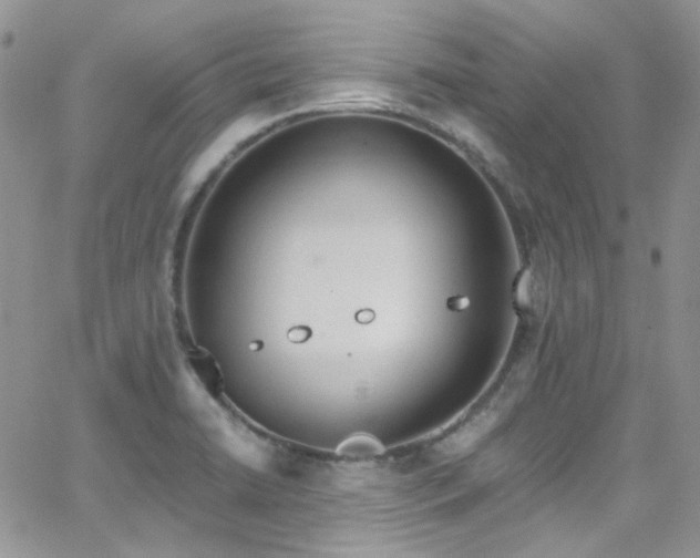 X0000062141422200512091203