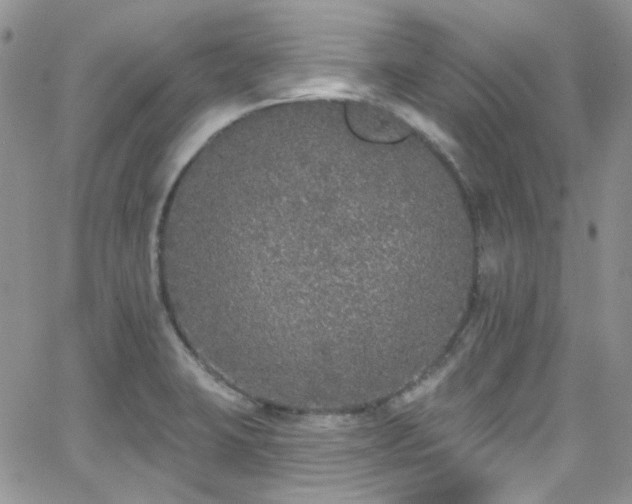 X0000062141423200512091203