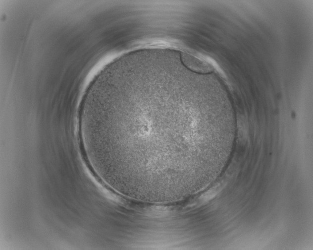 X0000062141424200512091203