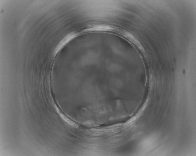 X0000062141425200512091203