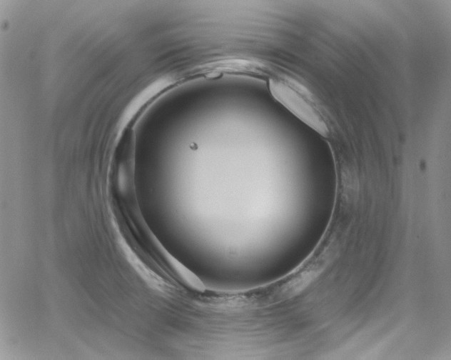 X0000062141426200512091203